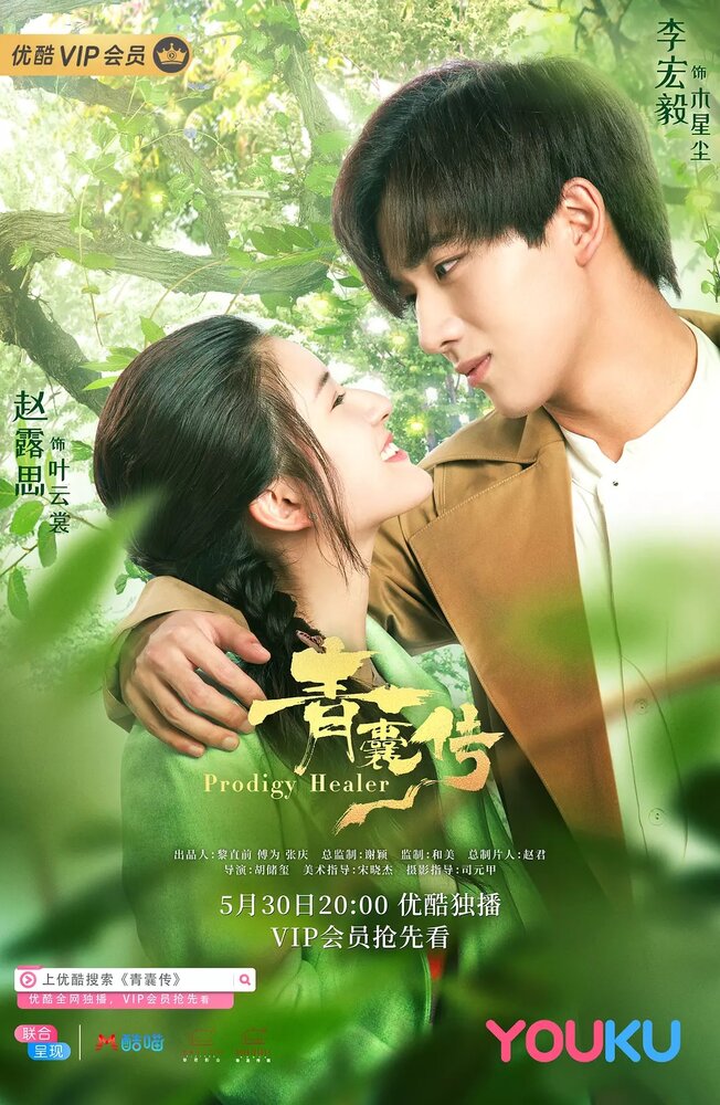 Зелёная капсула / Qing nang chuan / Чудо-целитель / Потомственный целитель / Prodigy Healer / Qing Nang Zhuan (2019)